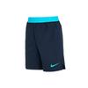 Nike Casual Shorts Men's Dark Blue Moderate CJ1958-452