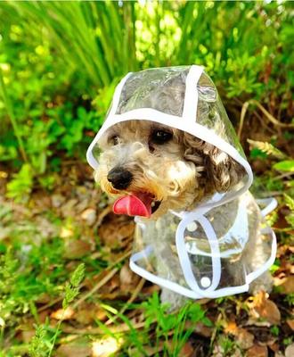 Transparent Waterproof Raincoat With Hat Pet Raincoat Pet Dog Raincoat Clothes Puppy Rain Slicker Jumpsuit For Small Large Dogs