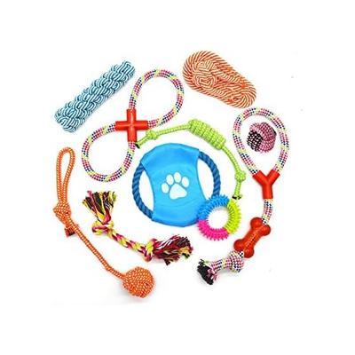 Cani – Giocattoli per cani