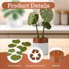 3D Printed Plant Coasters Magnetic Monstera Designs For Desktop Protections And Decoration Waterproof Kitchen Accessory