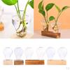 Vase Wooden Desktop Glass Holder For
