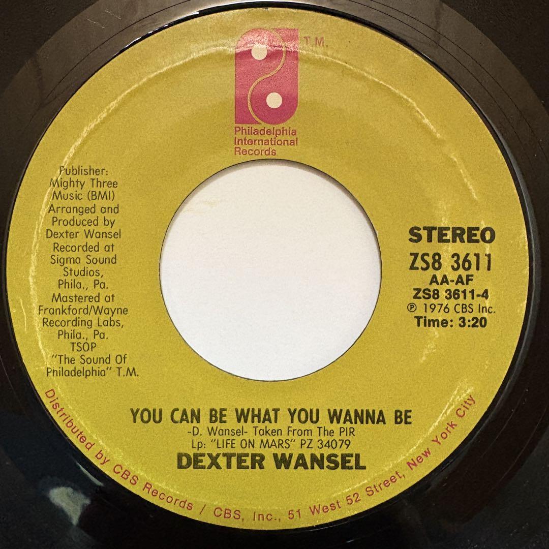 

[USED] 7 Dexter Wansel You Can Be What - Drum Break