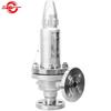 Haiyi A41W-16P Flange Spring-Loaded Safety Valve
