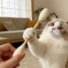 3PCS Bite Resistant Giant Qtip Cat Toy Anti-Boredom Cat Grinding Biting Stick  Dental Care