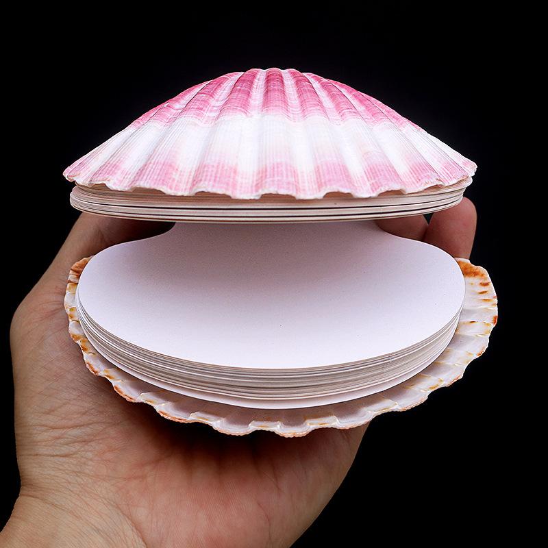 Natural shell books, handmade DIY notebooks, Instagram style, sticky notes, travel souvenirs, gift giving