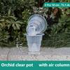Meshpot Home Decoration Clear Orchid Pots with Holes Cattleya Dendrobium Orchid Plants Pot Cachepot In 10cm 12cm 15cm