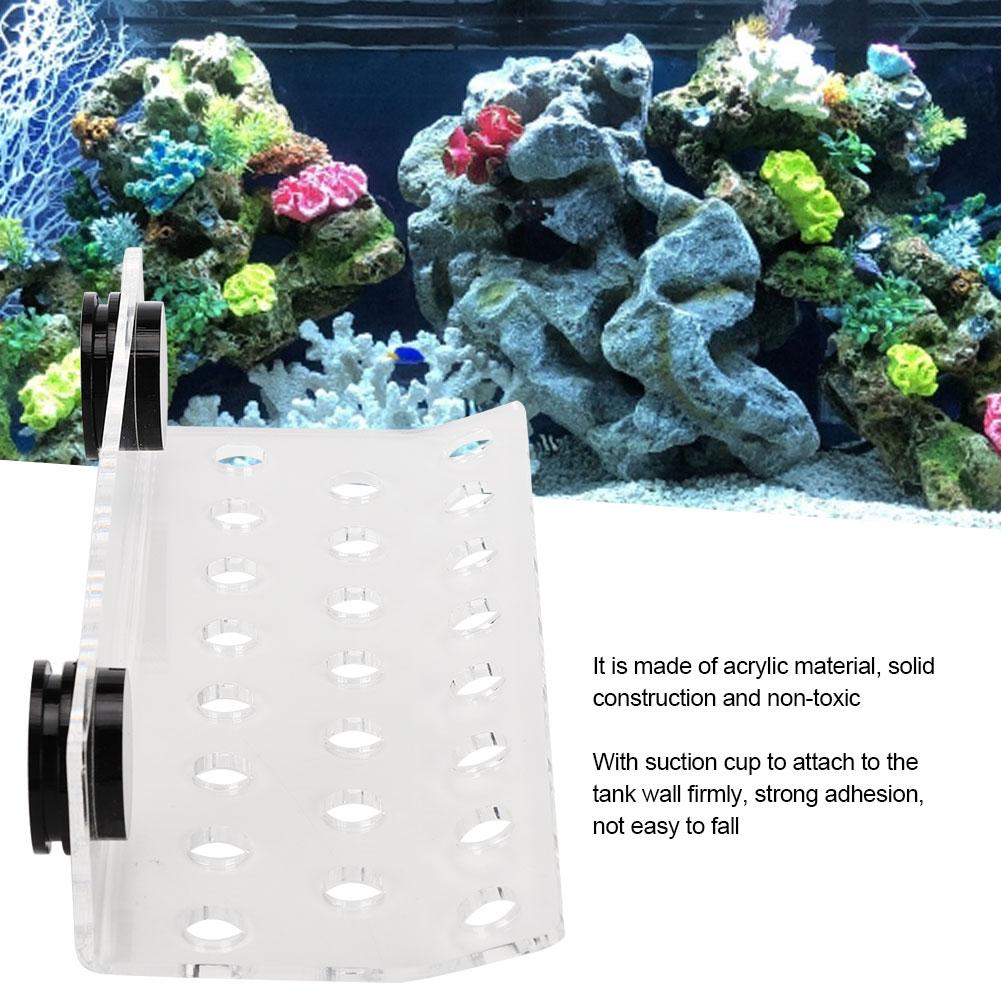 Aquarium Marine Coral Racks Bracket Holder Fish Button Frame Enhanced Suction Cup