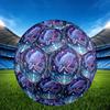 1pc Underwater Fantasy Theme Soccer Ball Football, Size 5, Lightweight PVC, Durable Outdoor Training Soccer Ball, Gift m61451