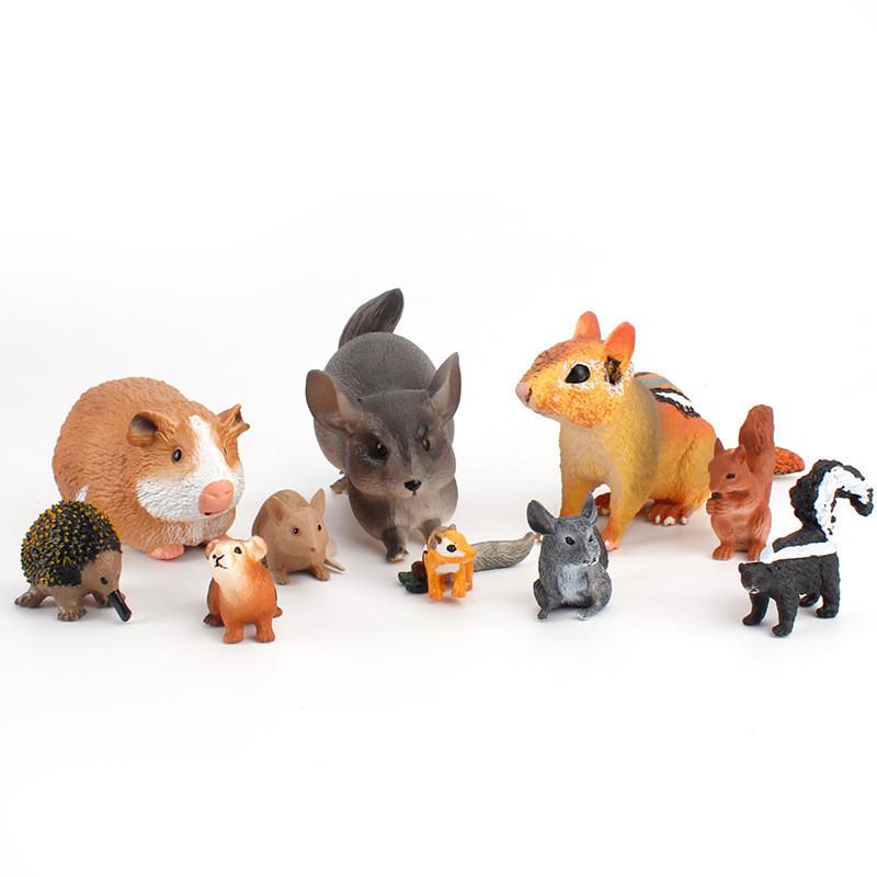 Little Squirrel Pvc Animal Figure Collection For Childrens Educational Toys And Wildlife Recognition