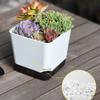 5Pcs Plant Pots, Self Watering Flower Pots Indoor Outdoor, Self Watering Planters with Drainage Hole & Clear Saucer Reservoir