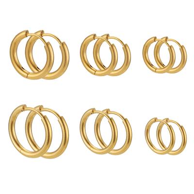 6 stuks Roestvrijstalen Creolen Dames Oorbellen Heren Punk Hiphop Bijoux Cadeau Mode Verguld 18K Goud Zirkoon Piercing Accessoire
