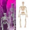 10 Pezzi Mini Decorazione Figurina Scheletro 6" Snodabile Statua Osso Umano Plastica Teschio Oggetto di Scena per Halloween Casa Stregata Feste Bomboniere