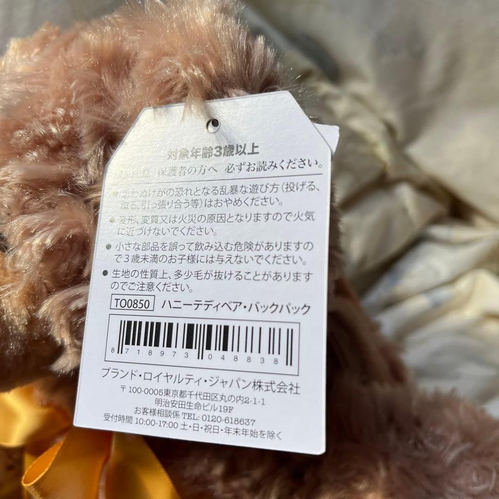 [USED] Daiso's teddy bear backpack