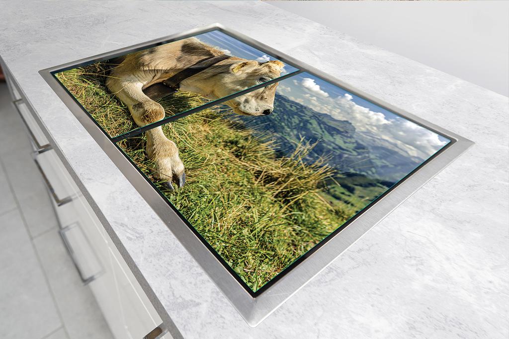 GLAS-KOCHFELD-SCHUTZPLATTE 90x52 KUH