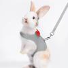 New Stylish and durable adjustable chest back pet lead rope for outdoor walks - Comfort and security for small pets like Golden