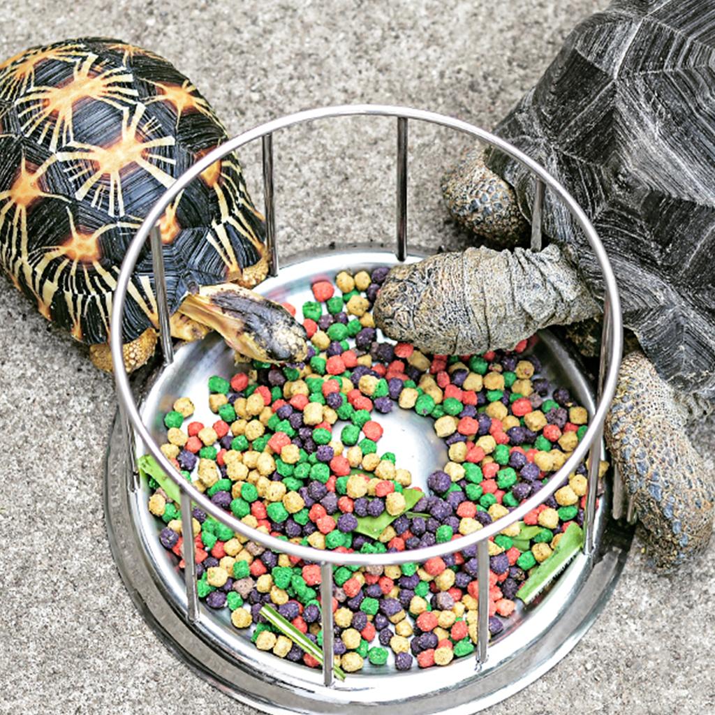 Tortoises Feeder Stainless Steel Dish Water Food Dispenser Feeding Bowl Reptiles Drinking Plate Tray Easy to Clean