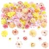 Pack of 50 Assorted Color Small Fabric Flowers for Handmade Crafts Home Decoration and Party Arrangements