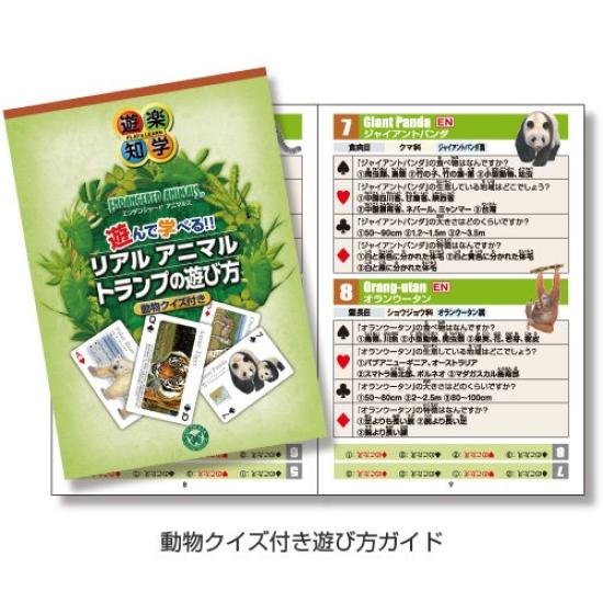 Carolata Real Animal Learning Playing Cards Animals Animal Toys Educational Toys Playing Cards Games Picture Book Gifts Presents (Animals/Quiz