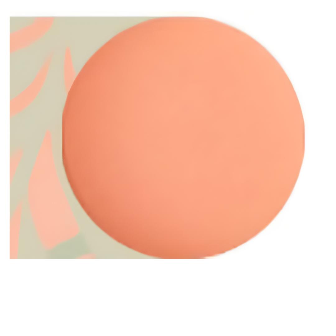 [THE FACE SHOP] Pastel Cushion Blusher 6g pace, speed