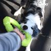 LaRoo Dog Dental Hračky pro velké psy Kulatý frisbee Odbourávání stresu pro psy Inteligence domácích mazlíčků Plovoucí tréninková hračka, Odolná, Trénink, Hračka. (30CM zelená)