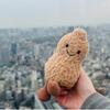 Adorable Peanut Plush Doll Keychain Soft And Cuddly High-quality Toy For Girls