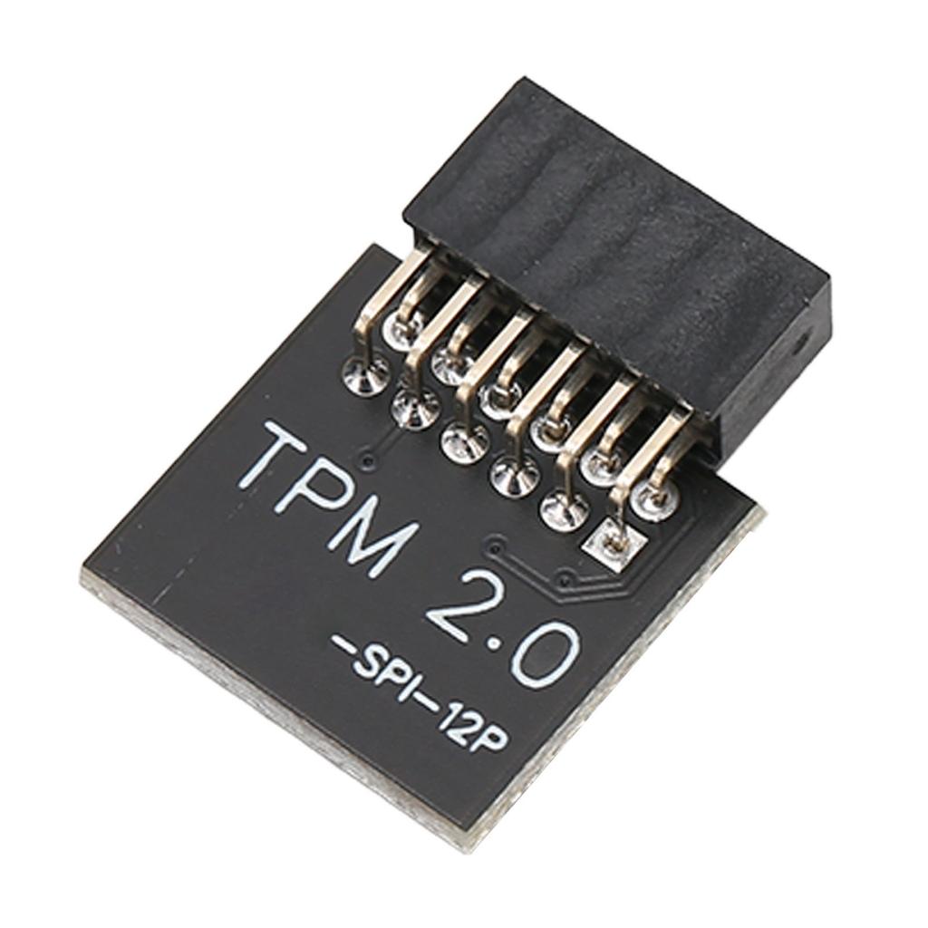 TPM2.0 Encryption Security Module for GIGABYTE Mainboard SPI 12Pin Security Module for WIN 11 2.0