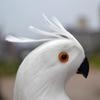 1Pc Feather DIY 25/35cm Creative Animal Bird Handmade Lawn Figurine Ornament Simulation Parrot Garden Prop Decoration