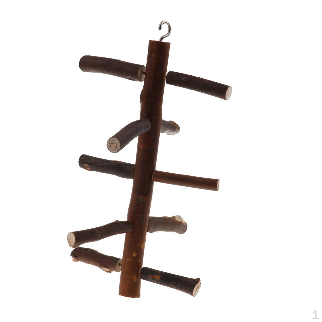 

Parrot Crawling Ladder Hanging Toy S
