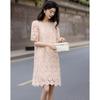 Demana French Style Lace Embroidered A-Line Dress