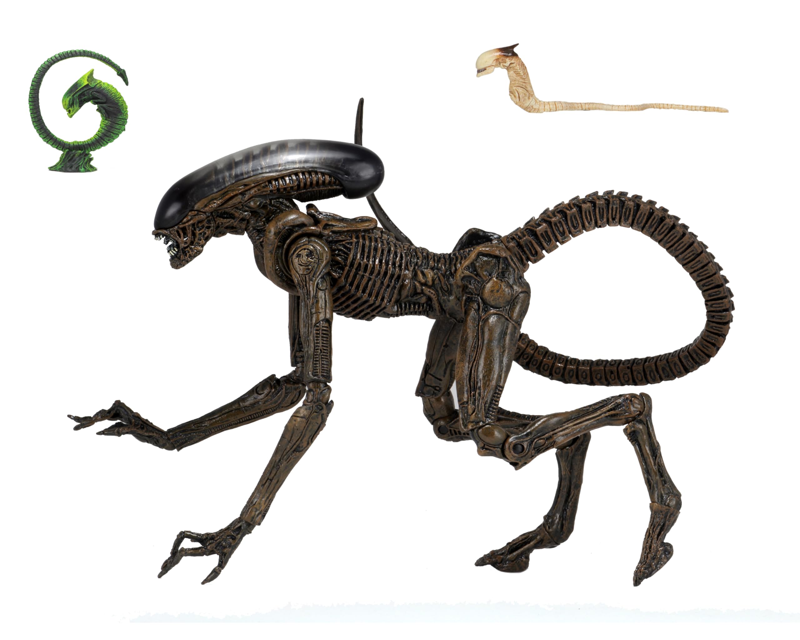 

Фигурка Чужого Ultimate Dog Alien 7 коричневый