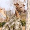 Dog Shirt Spring New Plaid Dog Cotton Shirts  Soft Cotton Button Up Fashion Pet Clothing Dog Coat for Italian Greyhound S-3XL