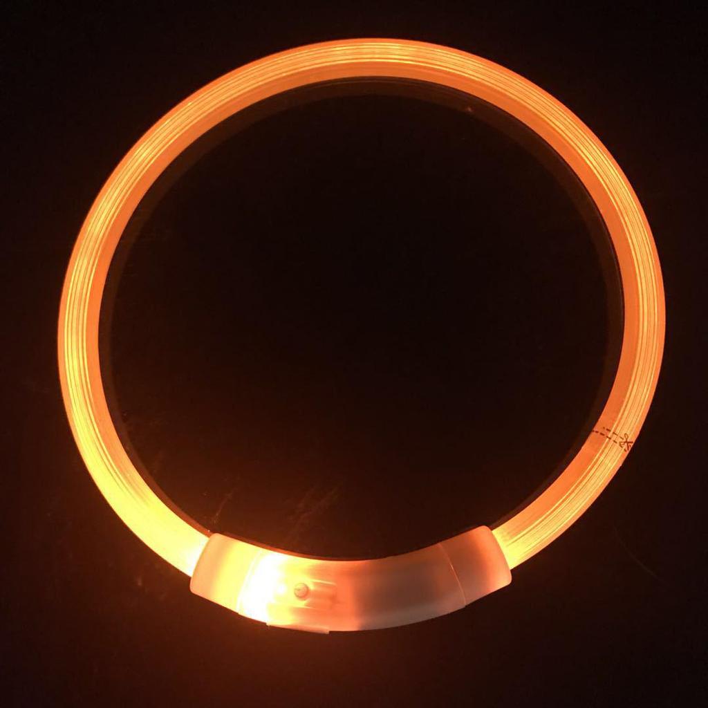 USB Rechargeable Light-Up Dog Collar - Luminous, Suitable for All Breeds