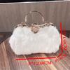 New Autumn and Winter Fashion Versatile Diagonal Cross Women's Bag