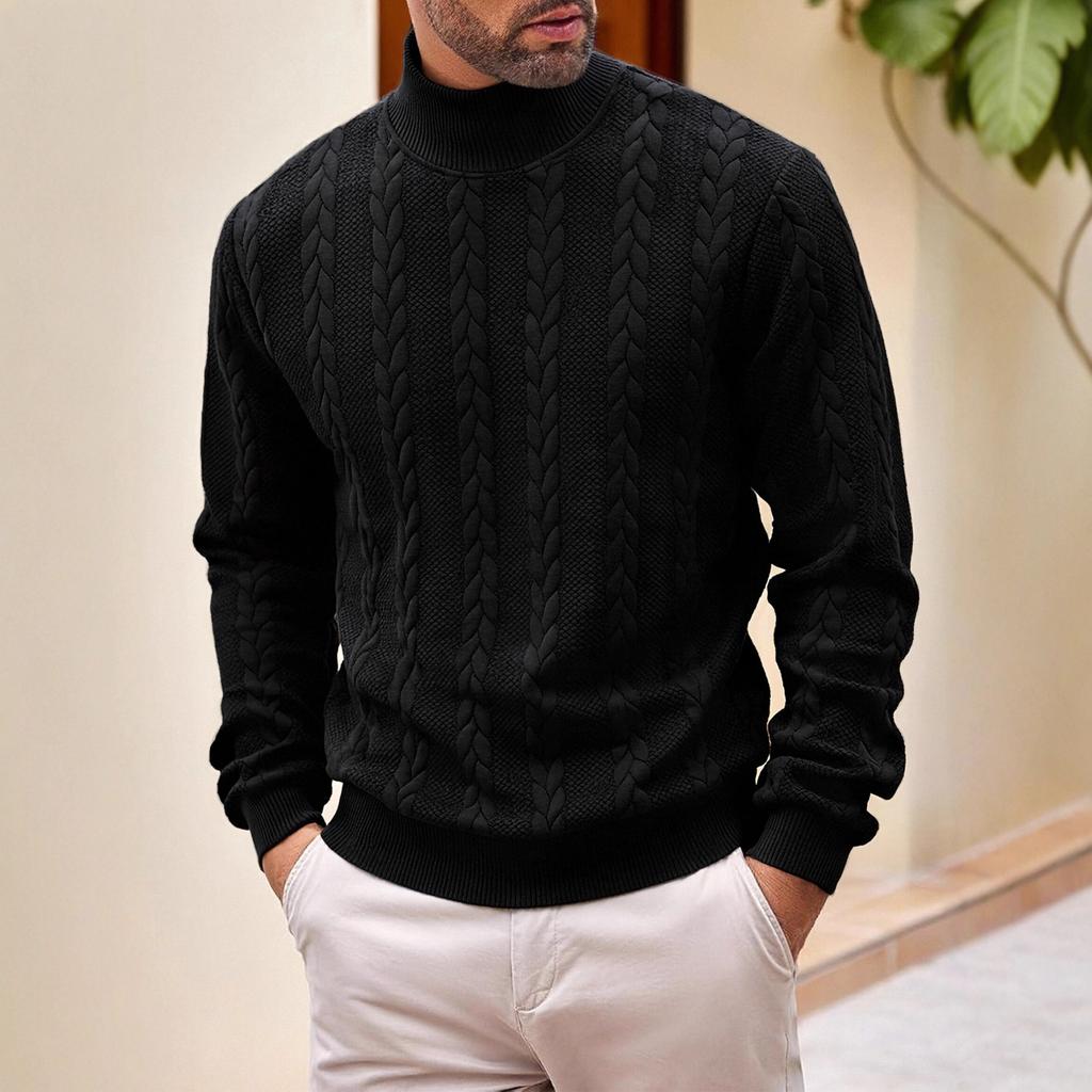 Autumn and winter sweater knitted sweater daily solid color young men's fashion jacquard turtleneck warm sweater