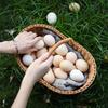 Wooden Imitation Rattan Picnic & Shopping Basket