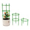 Indoor Climbing Plant Support Trellis for Dragon Fruit, Pothos, and Sunflower