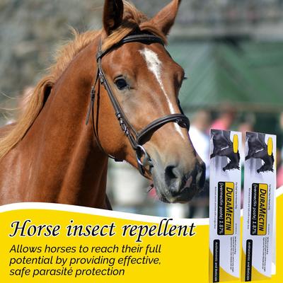 Flavored Horse Anthelmintic, Can Control Big Strongyle, Small Strongyle, Pinworm, Roundworm, Caterpillar, Big Stomach Worm, Horse