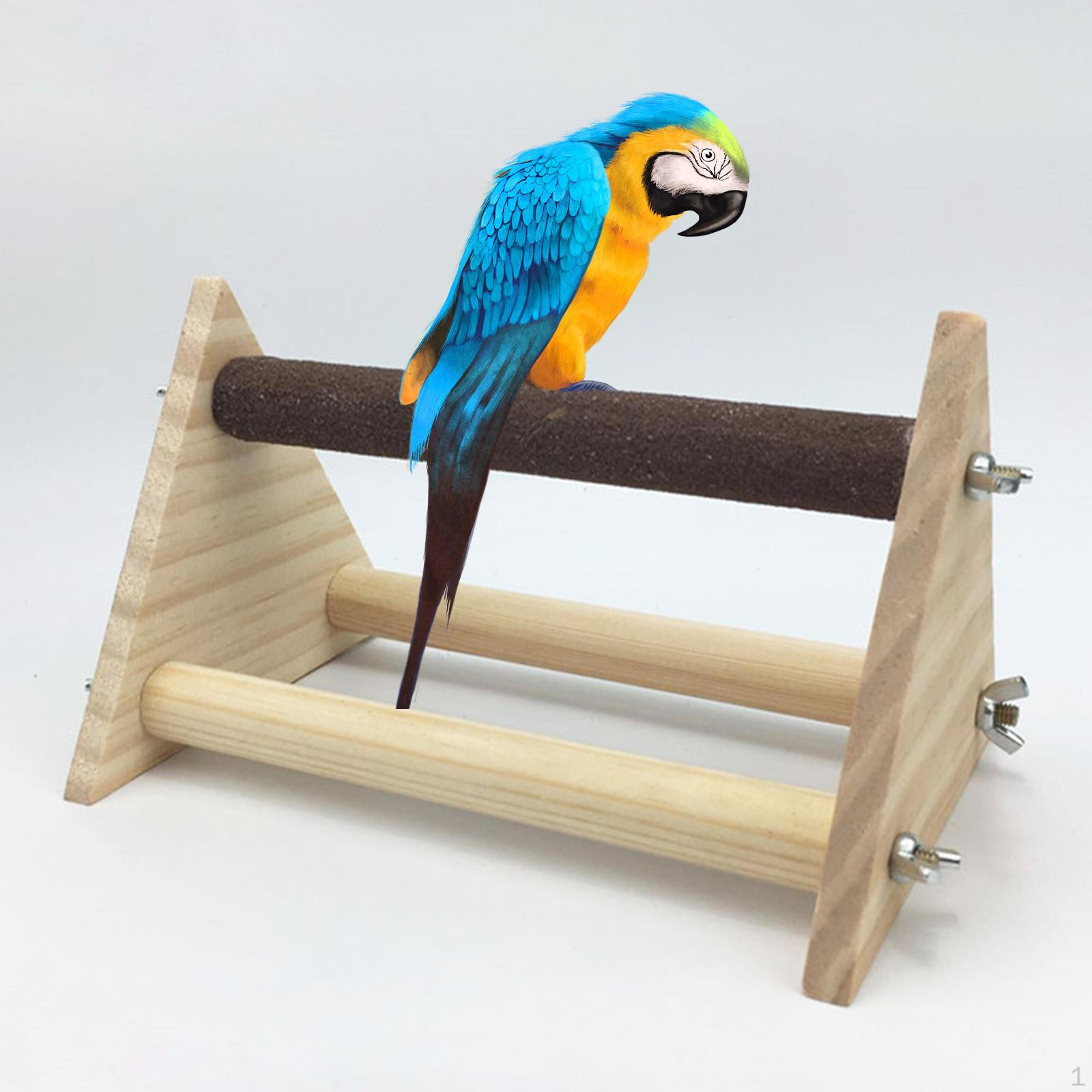 Bird Stand for Parrots And Lovebirds frosted