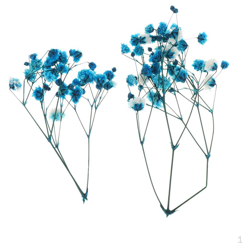 Сушеные для букета, Аксессуары, Blue