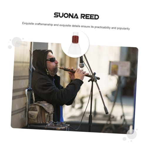 ULDIGI Repair-Free Plastic Suona Reeds, Pack of 10, Musical Instrument Accessories, Smooth Surface, Gentle Tone