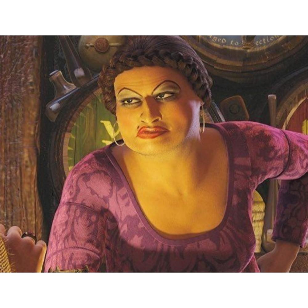 Malowanie Po Numerach Z Ramą Obrazy Do Malowania Shrek Doris 50X40 Cm