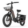 LANKELEISI WOMBAT Cargo E-Bike 1000W, 48V 20Ah, Max Load 200KG, Hydraulic Disc Brake, Shimano 7-Speed, Torque Sensor, Thumb Throttle