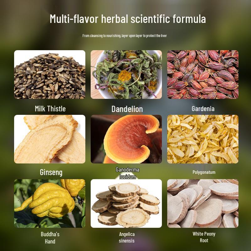 Plaster ziołowy wspierający wątrobę z Hongkongu: Ostropest plamisty, Żeń-szeń, Cytron, Piołun, Punkty akupunkturowe i Moksybucja
