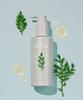Artemisia Annua Mild Acidic Feminine Wash 210ml