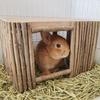 Rabbit Nest, Chinchilla, Guinea Pig Enclosure, Shelter, Natural Teething, Woven Nest with Branches, Platform for Hanging