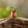 HANABASS 12 Pcs Mini Terracotta Pots 1.5 Inch Small Succulent Clay Pots for Plants Ideal for Home Decor, Craft Projects, and Party Favors, Desktop