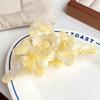 High-End Acetate Three-Dimensional Flower Claw Clips, Fresh Textured Large Hair Clips, Versatile Shark Clip Hair Accessories for Women