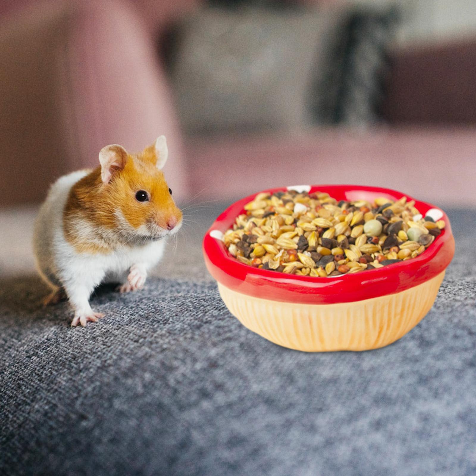Ceramic Hamster House, Hamster Hideout, Cute Mushroom Shape Feeding Bowl for