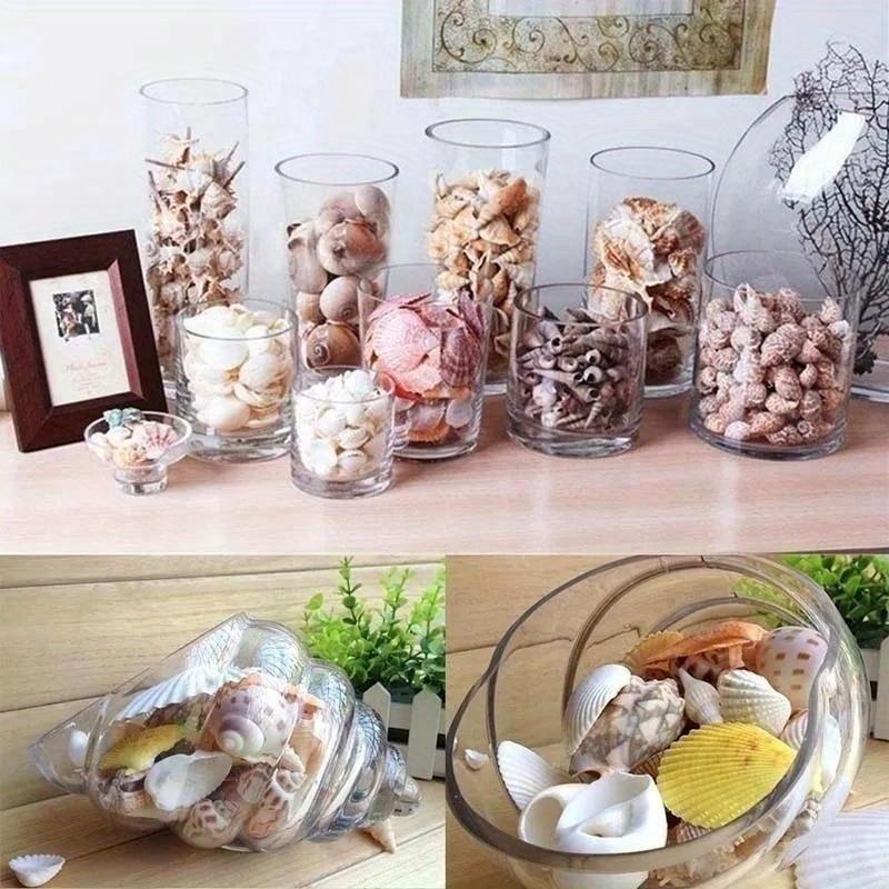 30 Stück/Beutel Mischung Aquarium Strand Nautisch DIY Muscheln Gemischt Lose Meeresmuschel