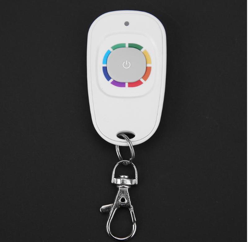 12V Single-Channel Access Control Remote for Doors and Lights